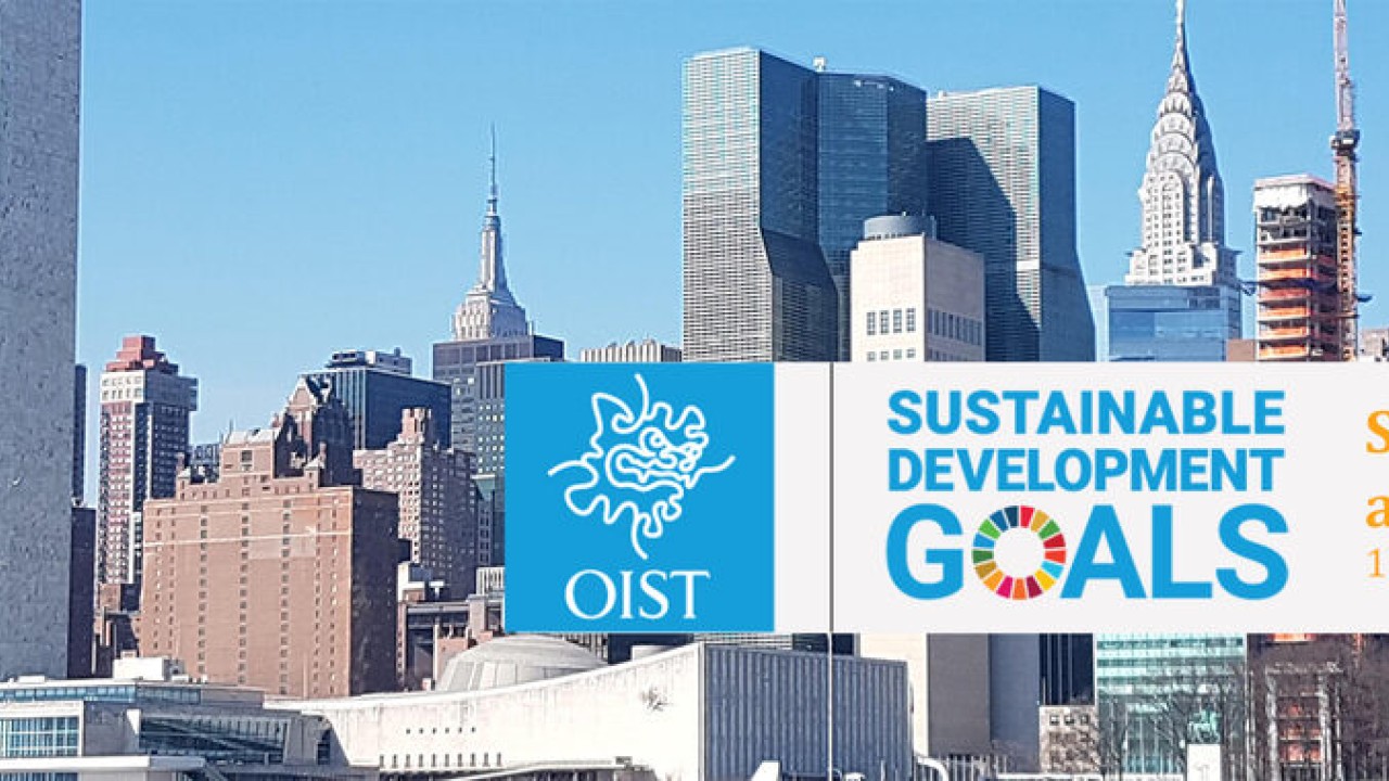 OIST Participates in the Science Summit at the 77th UN General