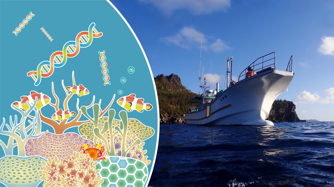 海の健康診断－環境DNA解析技術によって進化する生物多様性の調査 | 沖縄科学技術大学院大学（OIST）
