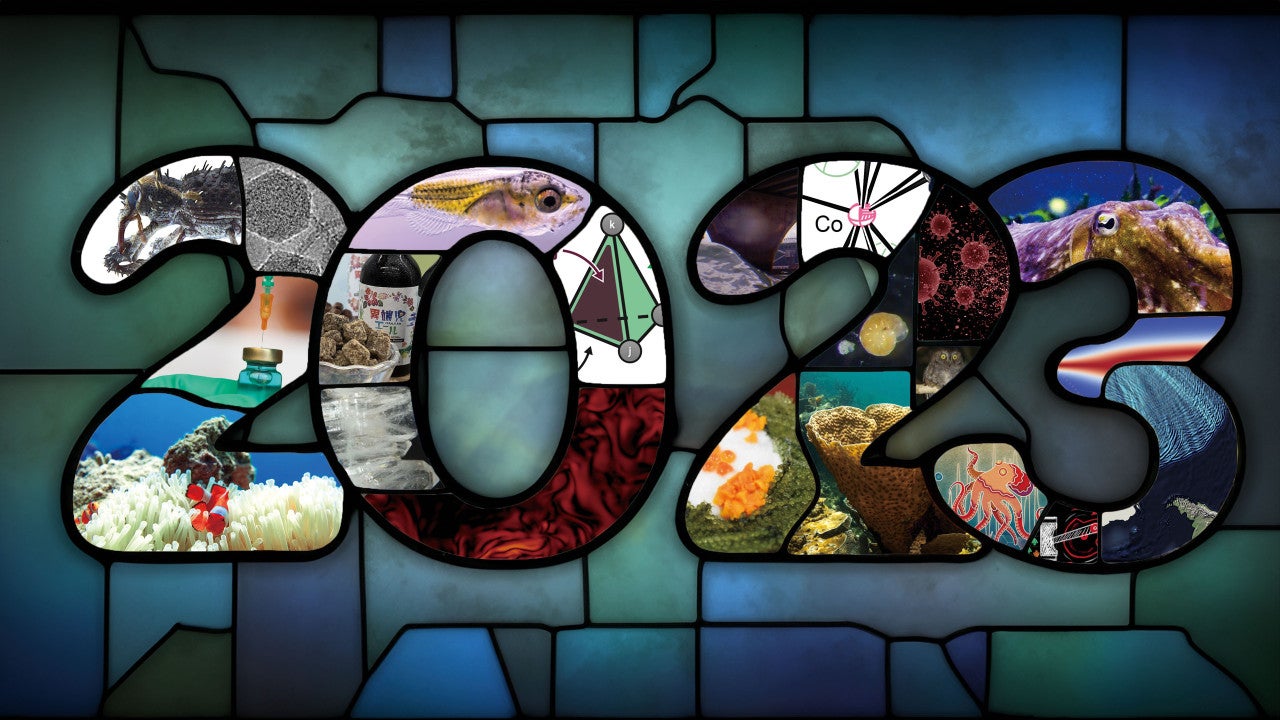 FY2023 Annual Report banner