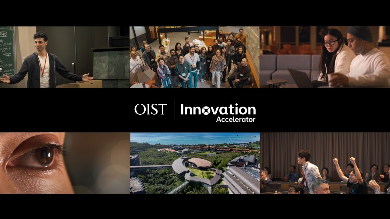 OIST Innovation Accelerator Program Title