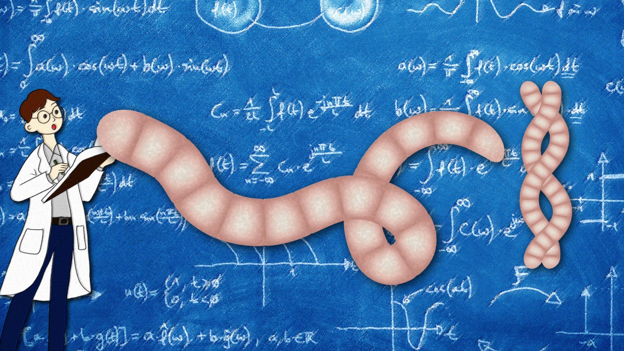 A new prediction tool for behavioral modelling (header image) 