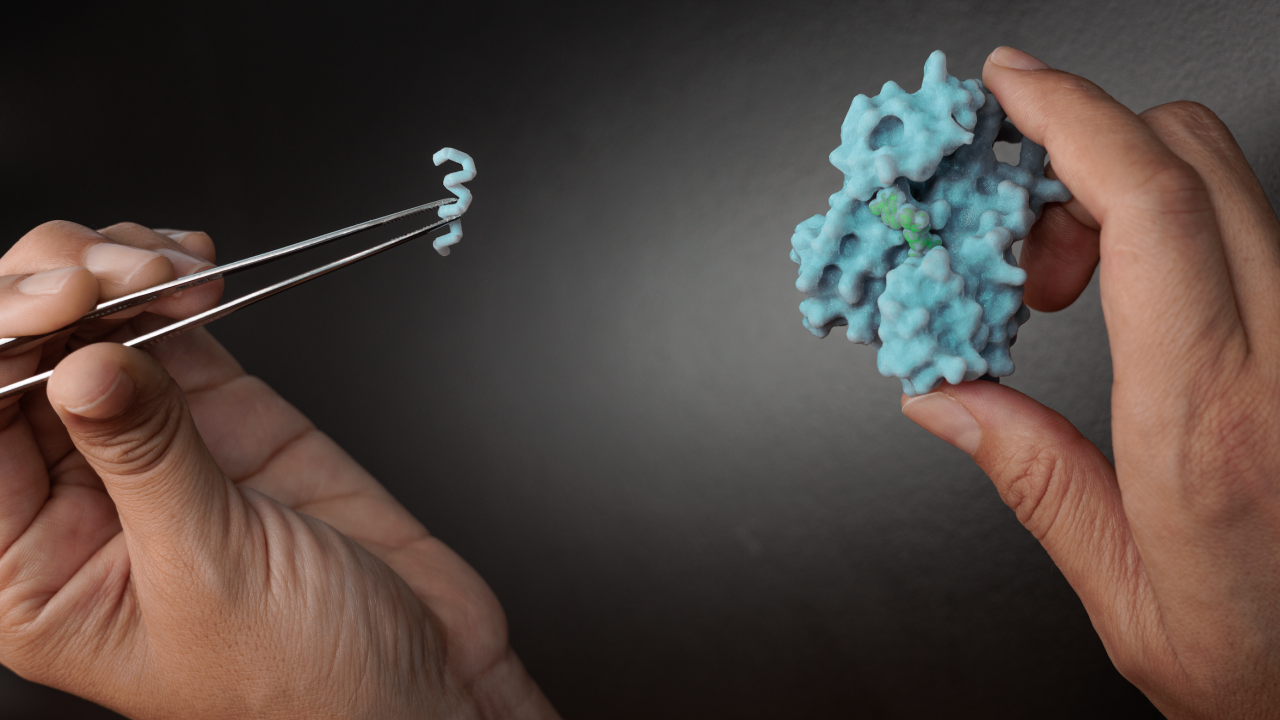 Rational design of proteins