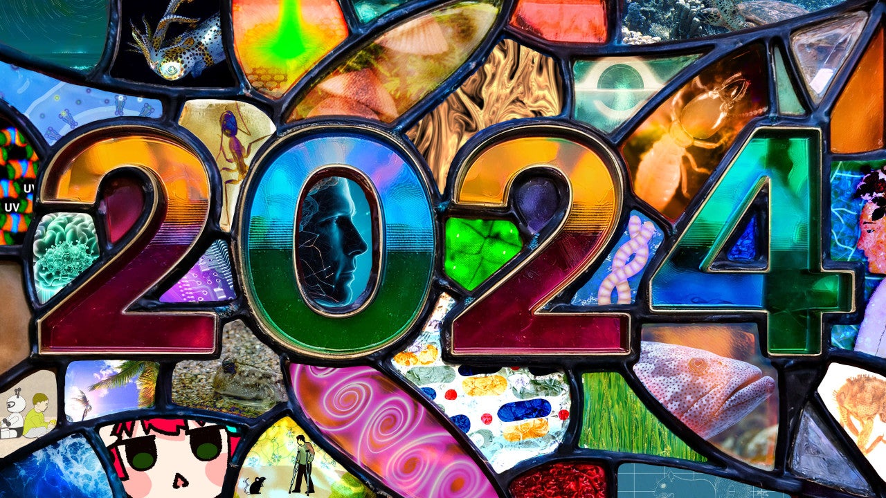 FY2024 Annual Report hero