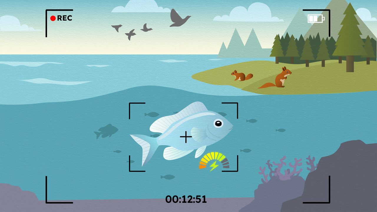 Graphical illustration of a natural scene viewed through a video camera viewfinder, with the focus indicator on a fish. Next to the fish is an energy meter. Other, small animals are visible in the background: squirrels in a woodland and birds in the sky.