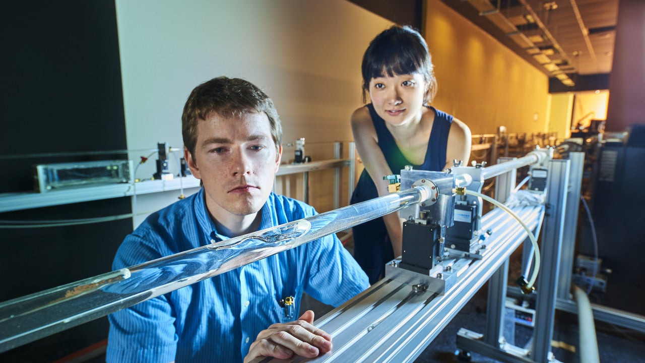two researchers observing