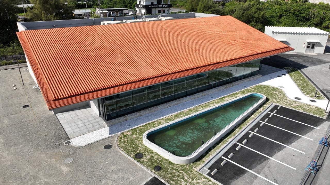 SeaneXus_bldg