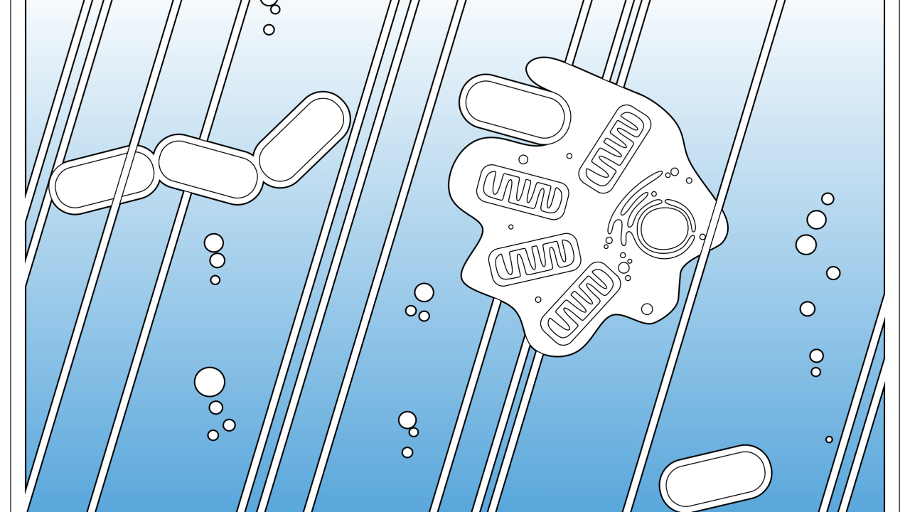 Graphic illustration of primitive life in the primordial soup, showing one cell absorbing another.
