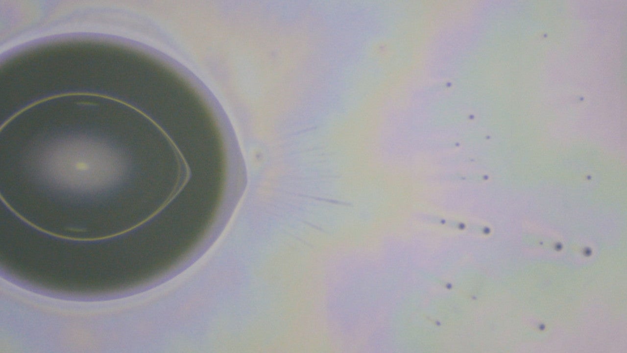 A close-up photo of a water droplet, shaped in an elongated oval, pumping out a spray of tiny microdroplets from one end. 
