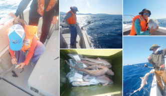 Impressions from a one-day deep-sea shark sampling trip off the coast of Onna-son. 