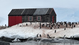 Antarctica Homeward Bound podcast header image 