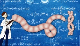 A new prediction tool for behavioral modelling (header image) 