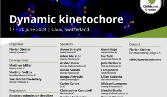Poster of Dynamic kinetochore
