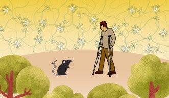 Header_Mice tails help research into neurodegenerative diseases
