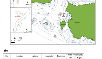 A scleractinian coral eDNA survey at four mesophotic sites using an underwater mini-ROV