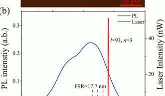 Microsphere Laser