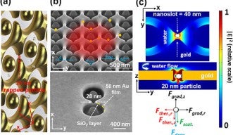 Nanoring Aperture
