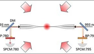 Rubidium Atom Spectral Lineshapes