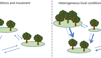 Contrast between idealized homogeneous and realistic heterogeneous metapopulations