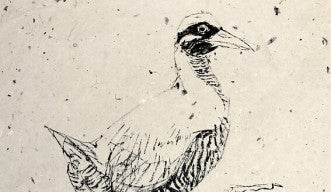 Image of yanbaru kuina (okinawa rail) painted in traditional Japanese ink on hand-made paper
