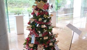 The Christmas donation tree with cards for children from Sakura Classroom