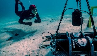Miles at Ningaloo Reef