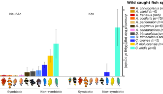  Levels of two major sialic acid compounds (Neu5AC and Kdn) in wild-caught symbiotic and non-symbiotic fish species