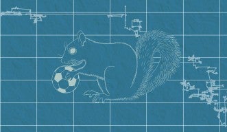 An artist's impression showing a blueprint-like drawing of a squirrel with a football in its hands, on a background with a grid and lines in Lévy walk patterns. 