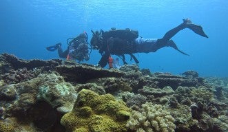 An underwater photograph of two SCUBA diver investigating corals in a reef with various scientific equipment. Colorful corals are seen in the foreground.