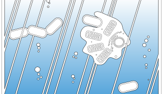 Graphic illustration of primitive life in the primordial soup, showing one cell absorbing another.