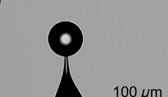 WGM cavity