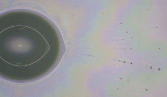 A close-up photo of a water droplet, shaped in an elongated oval, pumping out a spray of tiny microdroplets from one end. 