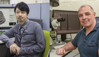 エボラウイルスのコア構造を解明 | 沖縄科学技術大学院大学（OIST）