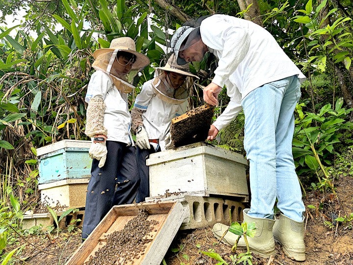 studens looking at beehives