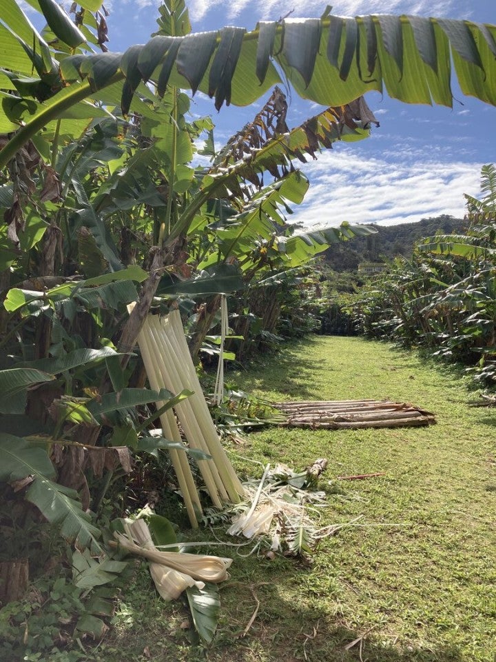 Basho-field