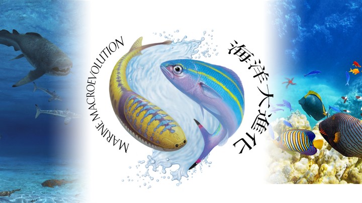 Logo for the Marine Macroevolution Unit, featuring the early jawless fish Sacabambaspis and the Okinawa prefectural fish, the Gurukun (Caesio diagramma)