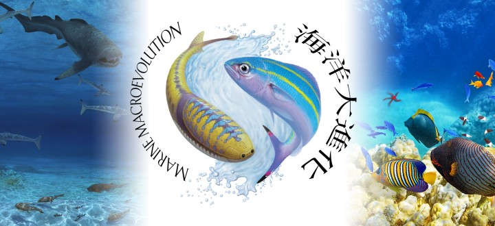 Logo for the Marine Macroevolution Unit, featuring the early jawless fish Sacabambaspis and the Okinawa prefectural fish, the Gurukun (Caesio diagramma)