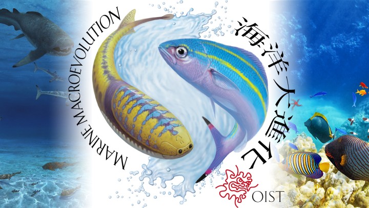 Logo for the Marine Macroevolution Unit, featuring the early jawless fish Sacabambaspis and the Okinawa prefectural fish, the Gurukun (Caesio diagramma)