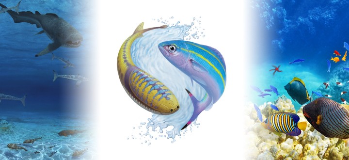 Logo for the Marine Macroevolution Unit, featuring the early jawless fish Sacabambaspis and the Okinawa prefectural fish, the Gurukun (Caesio diagramma)