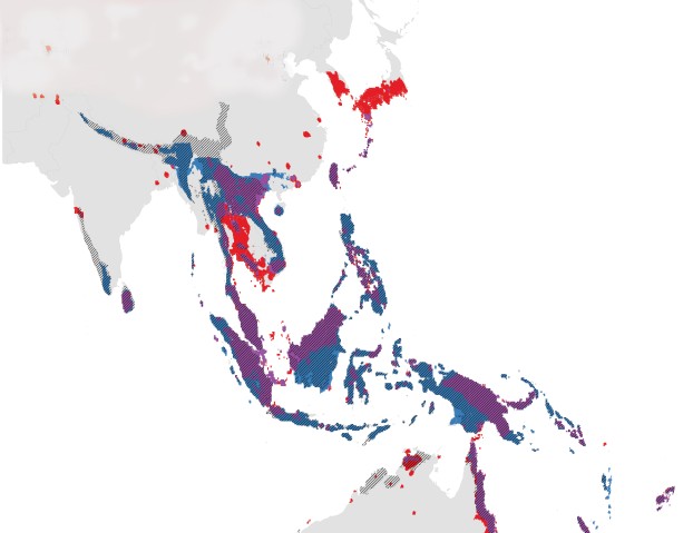 New Global Map Of Ant Biodiversity Reveals Areas That May Hide ...