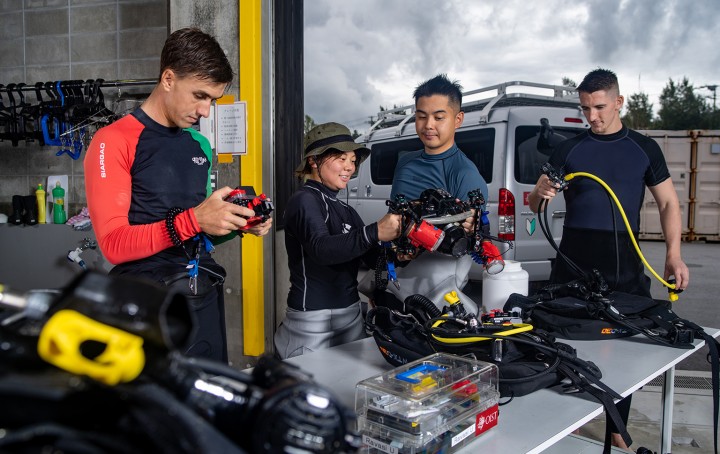 Cleaning dive equipment after specimen collection