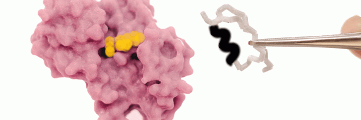 Coenzyme Switch: Researchers Recreate the Way Nature Changes Coenzyme Binding on Rossmann Enzymes