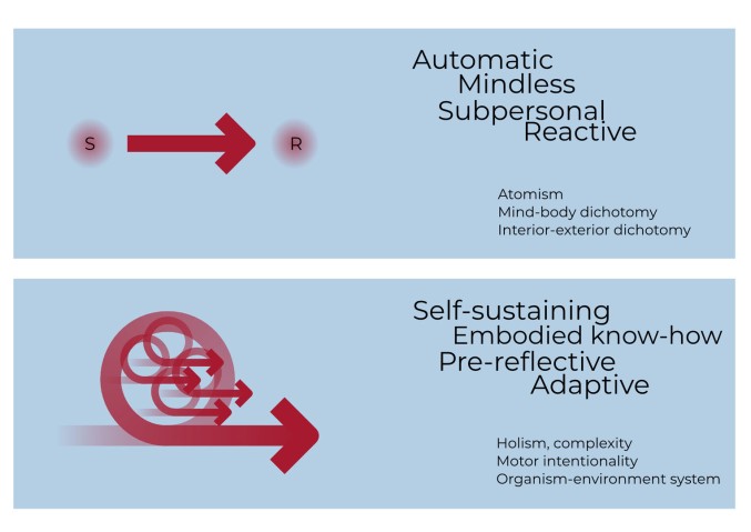 illustration of "Automatic mindless subpersonal reactive" and "self-sustaining embodied know-how pre-reflective adaptive"