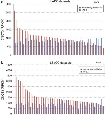 csu FY2019 Annual Report 3.2 Figure 1