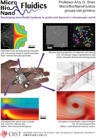 mbnu Research Overview