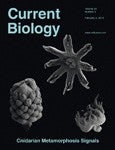 mgu Publications 2014 11 Curr Biol