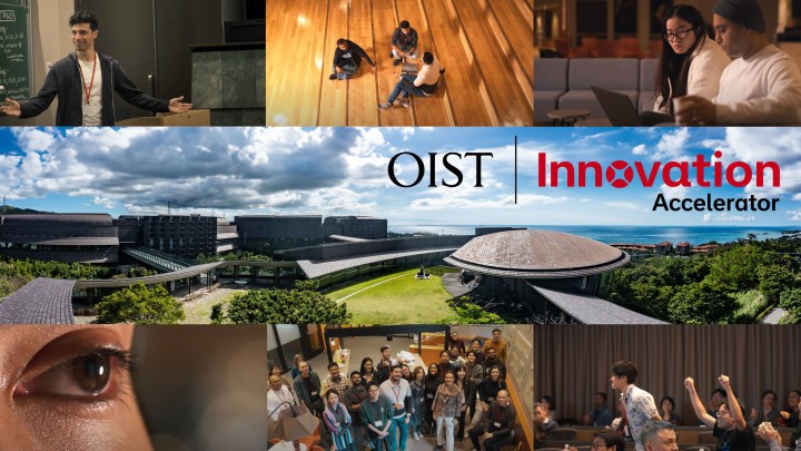 OIST Innovation Accelerator Program header