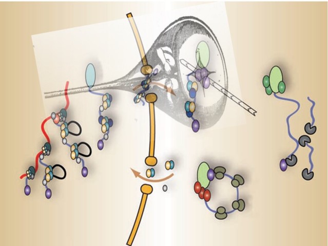 Cutting Edge Developments in RNA Biology for the Control of Gene Expression