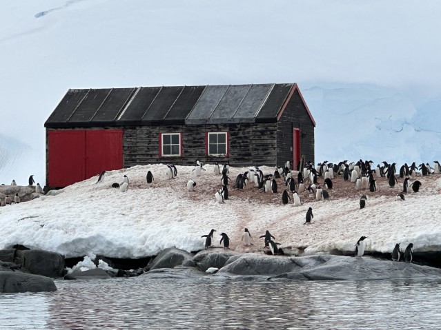 Red building surrounded by penguins