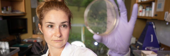 Scientist holds up petri disk in gloved hand