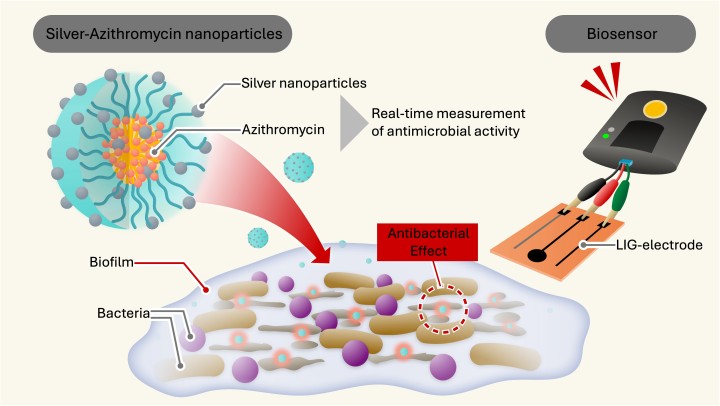 MRS AIST infographic EN NanoparticlePR